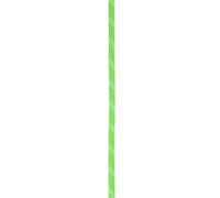 EDELRID Static Low Stretch 11.0 mm, Colour: Neon Green (499), Size: 200 m