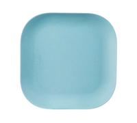 EDEN BLUE DINNER PLATE