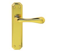 Eden Lever on Backplate Door Handle Set Contemporary Interior Lever Handle with Solid Design for UK Residential and Commercial Use (Latch, Polished Brass, 180mm x 42mm Backplate)
