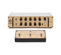 Eden NovaTone 300 Bass Amplifier Head with Footswitch