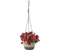 Eden & Willow E&W Natural Woven Straw Hanging Flower Pot, Braided Basket Planter with Rope