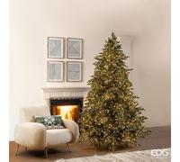 EDG - Enzo De Gasperi Silver Pine Christmas Tree 5000 Mini LEDs in Green PE D166xH240 cm