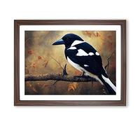 Edgy Magpie Bird Framed Print | A3 Walnut Framed Wall Art | Ready to Hang | Modern Nature Picture | Living Room Bedroom Lounge Office