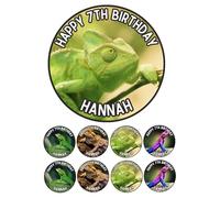 Edible 7" round LIZARD Personalised cake topper and 8 x 2" cupcake toppers Premium icing paper - roulette