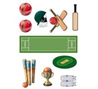 Edible A4 Cricket theme Cake topper set Cake decorations NOT-PRECUT Birthday/Retirement (1)