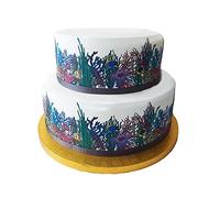 Edible Decor Sheet Coral Reef & Tropical Fish Border Ribbon - Perfect for Larger cakes - Easy to Use