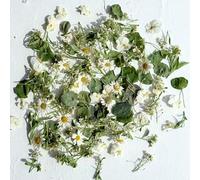Edible Flowers - 'Monica' Freeze Dried Flower and Petal Mix - Certified Food Grade (548)