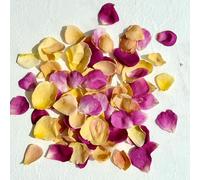 Edible Petals - 400ml - Freeze Dried Multicoloured Rose - Certified Food Grade (395)