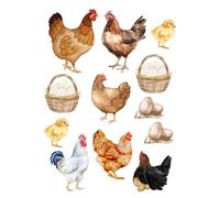 Edible print A4 chicken theme Cake topper set cake decorations wafer card NOT PRECUT - Birthday -Retirement - eggs - hens