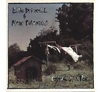 Edie Brickell & New Bohemians - Ghost of a dog (1990) [VINYL]