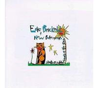 Edie Brickell & New Bohemians - Shooting Rubberbands At The Stars - Geffen Records - GEF 24192