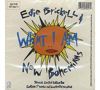 Edie Brickell - What I Am