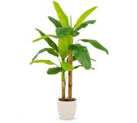 edihome, Indoor Decorative Plant - Artificial Banana Tree 160cm - Large Realistic Tropical Plant for Home, Office, Hotel, Shopping Malls - Indoor/Outdoor Decoration