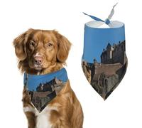 Edinburgh Castle Fontana Dog Bandana Pet Scarf for Small Medium Large Dogs Triangle Bibs Photo Prop Gift