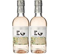 Edinburgh Gin Rhubarb & Ginger Gin Liqueur 20cl | 20% ABV | Award Winning Liqueur | Perfect for Spritzes, Cocktails or With Sparkling Wine | Fresh Sweet Rhubarb with Firey Ginger (Pack of 2)