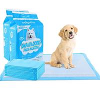 Edipets, Puppy Pads, Disposable Hygienic Pet Mats, Whelping and Training Pads for Dogs, Absorbent, Leakproof and Resistant, 39.37 in x 23.62 in (40 Pack)
