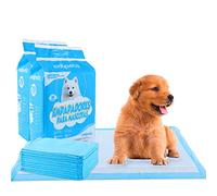 Edipets, Puppy Pads, Dog Training Pads, 45 x 60, Pack of 40, Absorbent Training Pads, Disposable Toilet Mat for Puppies, Puppy Training Pads