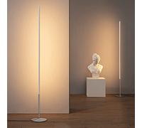 EDISHINE 2 Pack Modern LED Floor Lamp, 57.5" Minimalist Dimmable Standing Lamp,Tall Floor Lamps for Living Room, Bedroom, Office, 3000K Warm White Light