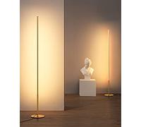 EDISHINE 2 Pack Modern LED Floor Lamp, 57.5" Minimalist Dimmable Standing Lamp,Tall Floor Lamps for Living Room, Bedroom, Office, 3000K Warm White Light, Golden