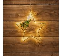 Edit Eucalyptus LED Micro Wire Hanging Star Decoration
