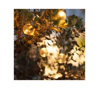 Edit 2m Galilei Solar LED Festoon Lights