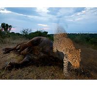 Editing-Choosing the Right Image