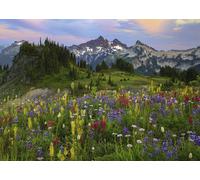 Tatoosh Mountains
