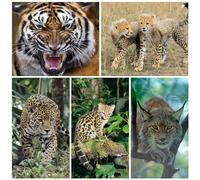 Edition Colibri 3D Postcard Set with Wild Cats as Party Bags for Children's Birthdays, 5 Different Lenticular Postcards