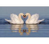 Edition Colibri 3D Postcard with Heart Design for Valentine's Day