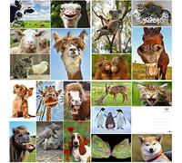 Edition Colibri Animal Postcard Set, Funny and Cute Postcards from around the World for Children, Friends, Team Gifts and Postcrossing, Handmade, Made in Germany, Sustainably Produced (Set 6)