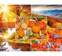 Edition Colibri Autumn Landscapes: Set of 20 (10695-99) Postcards (5 Designs x 4 Items) for Postcrossing and Prolific Writers