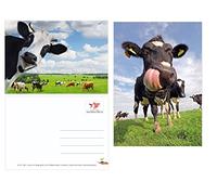 Edition Colibri Funny Cows 2 Postcards (10529)
