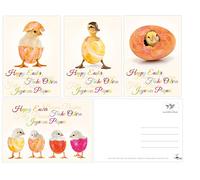 Edition Colibri Funny Easter card set with 12 Easter postcards (4 motifs with 3 pieces each), lovingly designed funny postcards for Easter (11065-11068)