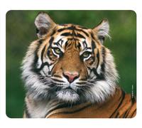 Edition Colibri PROUD TIGER Mouse Pad: Made from Special Rubber with a Strong Adhesive Base for Excellent Grip; Compatible with all Mouses