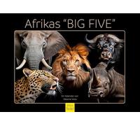 Edition Seidel Premium African "Big Five" 2026 Format DIN A3 Wall Calendar Animal Calendar Africa Wild Animal Predator Buffalo Elephant Lion Big Cat Tiger Cheetah Melanie Viola