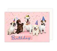 Edition Seidel Premium Birthday Card with Envelope Greeting Card Billet Happy Birthday Greeting Card Man Woman Animal Card Dog Humour Funny (G3418 SW023), 17 x 11.5 cm (22236)