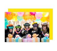Edition Seidel Premium Birthday Card with Envelope Greeting Happy Birthday For Him or Her Male Female Friend Mum Dad Daughter Son Kids Teens Colleague Donkeys (G3524 SW024)