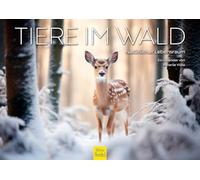 Edition Seidel Premium Calendar Animals in the Forest 2026 Format DIN A4 Wall Calendar Animal Calendar Forest Animals Wild Animals Natural Habitat Melanie Viola