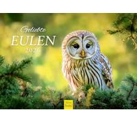 Edition Seidel Premium Calendar Beloved Owls 2026 Format DIN A4 Wall Calendar Animal World Owl Calendar Bird Calendar Owl Bird Wild Bird Christian Müringer
