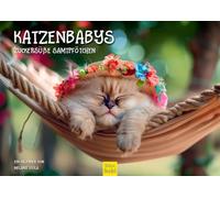 Edition Seidel Premium Calendar Cat Babies 2026 Format DIN A4 Wall Calendar Cat Calendar Pets Kitten Cat Kitten Kitten Melanie Viola