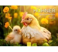 Edition Seidel Premium Calendar Chickens 2026 Format DIN A4 Wall Calendar Animal Calendar Adorable Animals Birds Chicken Rooster Melanie Viola