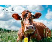 Edition Seidel Premium Calendar Cows 2026 Format DIN A4 Wall Calendar Cow Calendar Cow Cattle Calf Native Animals Nartur Heath Melanie Viola