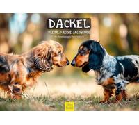 Edition Seidel Premium Calendar Dachshund Small Cheeky Hunting Dogs 2026 Format DIN A3 Wall Calendar Dog Calendar Dog Puppy Dog Breed Pet Hunting Melanie Viola