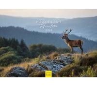 Edition Seidel Premium Calendar Deer & Deer in the Free Nature 2026 Format DIN A4 Wall Calendar Animal Calendar Animals Deer Wild Animal Forest Nature
