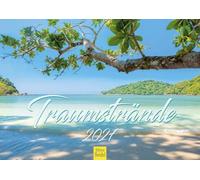 Edition Seidel Premium calendar dream beaches 2027 format DIN A4 German wall calendar Caribbean Maldives Seychelles Dominican Republic beach sea coast palm trees