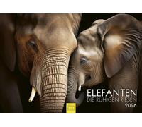 Edition Seidel Premium Calendar Elephants The Quiet Giants 2026 Format DIN A4 Wall Calendar Animal Calendar Nature Steppe Water Elephant Cow Bull Calf Herd Wild Animals