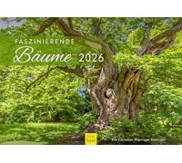 Edition Seidel Premium Calendar Fascinating Trees 2026 Format DIN A3 Wall Calendar Europe Germany Leaf Forest Mixed Forest Chestnut Oak Christian Müringer