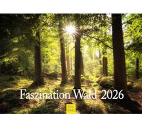 Edition Seidel Premium Calendar Fascination Forest 2026 Format DIN A4 Wall Calendar Nature Trees Forests Waterfall Glades Forest Lake Mountains Valleys