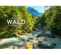 Edition Seidel Premium Calendar Fascination Forest 2026 Format DIN A4 Wall Calendar Nature Trees Forest Mixed Forest Fir Peter Schickert
