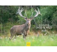 Edition Seidel Premium Calendar Fascination Hunting & Wild 2026 Format DIN A4 Wall Calendar Animal Calendar Animals Pig Piglet Freshling Wild Boar Native Mammals